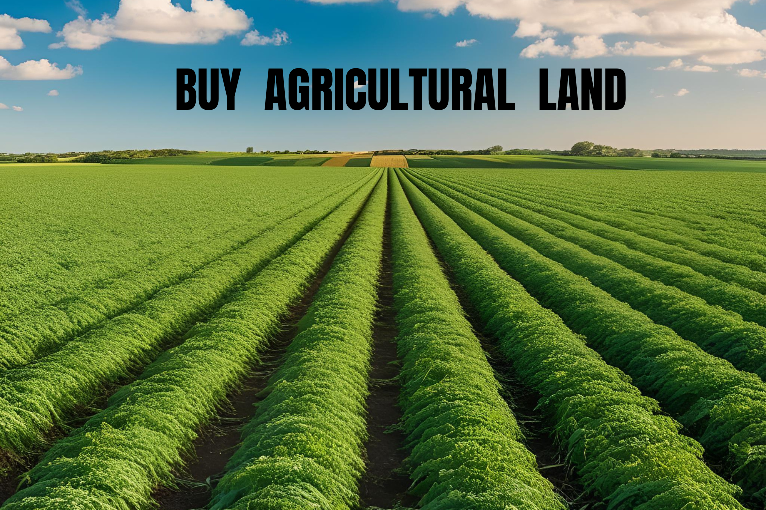 Buy agricultural land in india