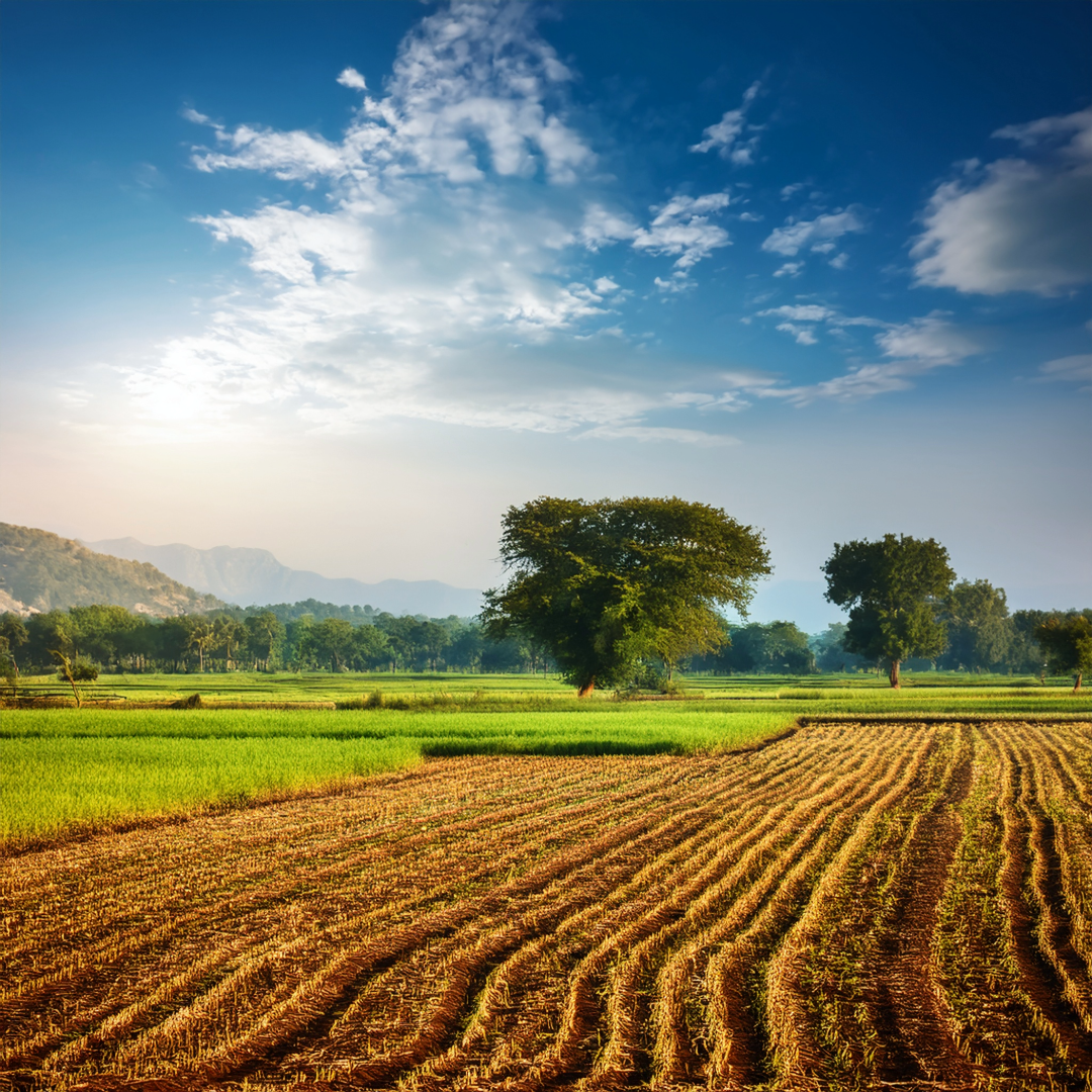 Benefits of investing in agricultural land