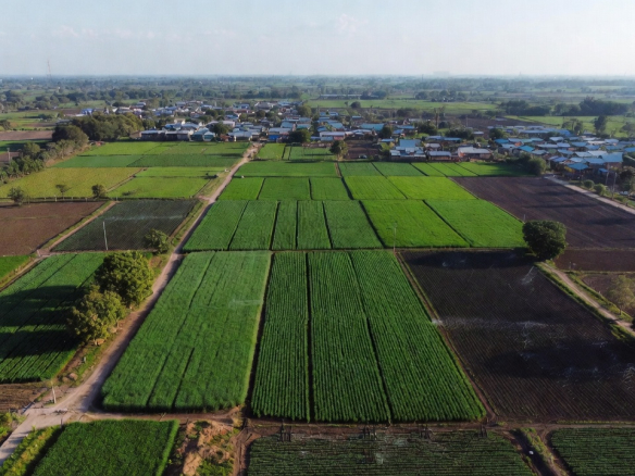 Top 5 Farmland Assets to Hedge Against Inflation