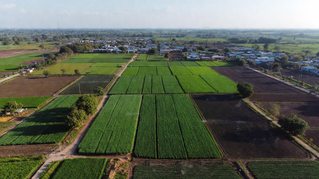 Top 5 Farmland Assets to Hedge Against Inflation